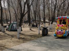 -长白岛森林公园