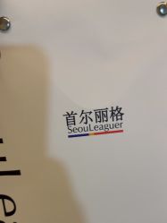 -上海首尔丽格医疗美容医院