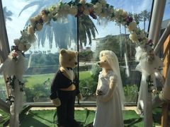 -济州岛泰迪熊博物馆