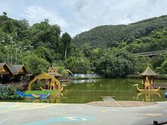 -西双版纳原始森林公园