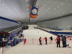 -哈尔滨热雪奇迹