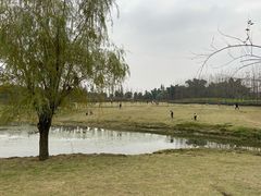 -两河城市森林公园