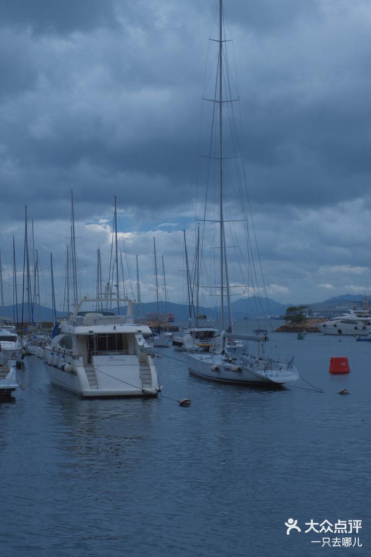 香港铜锣湾避风塘市区绝美海景