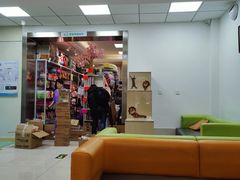 -北京观赏动物医院·24小时大型综合·猫专科·异宠专科