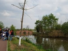 -白鹭湾湿地公园