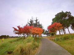 -颖奕安亭高尔夫俱乐部