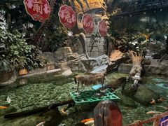-北京海洋馆