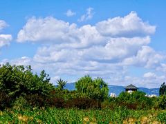 -永定河休闲森林公园