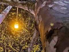 -物美超市(下沙店)