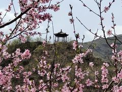 -南窖乡水峪村山情农家