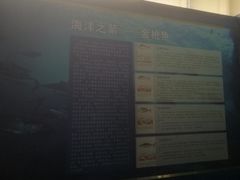 -上海海洋大学鱼文化博物馆(军工路校区)