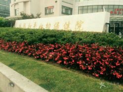 -中国福利会国际和平妇幼保健院(徐汇院区)