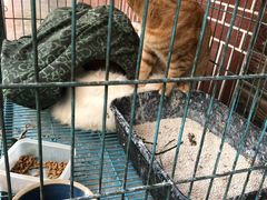 -海派铜锣湾(打浦路店)