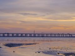 -宝安西湾红树林湿地公园