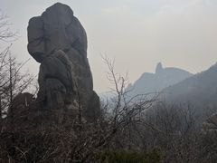 -崂山巨峰游览区