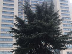 -陕西省人民医院(主院区)