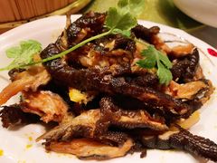 -胡桃里音乐酒馆(环亚凯瑟琳广场店)