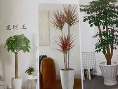 -研筑国际设计事务所(总店)