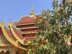 -西双版纳勐泐文化旅游区