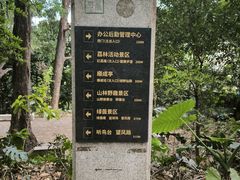 -南岗山公园