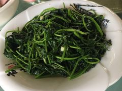 -洞背山庄(洞背院区式管理小区店)