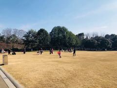 -青枫公园