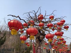 -香山公园