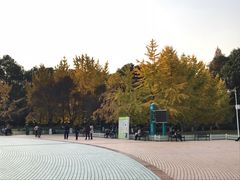 -绵阳人民公园(涪城区)