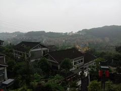 -老幺泉水鸡