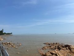 -野狸岛