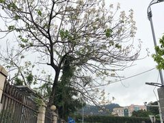 -广东金融学院(校本部)