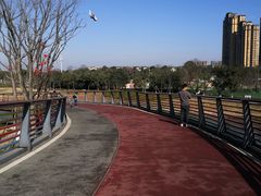 -府河摄影公园