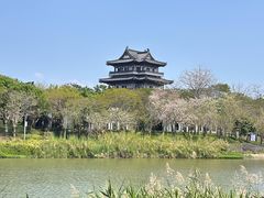 -海珠湖公园