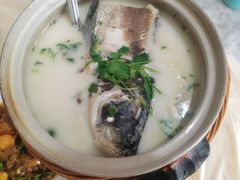 -天乐农家鱼头王(天目湖店)