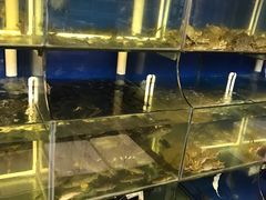 -台州卡金海鲜楼(上南路店)