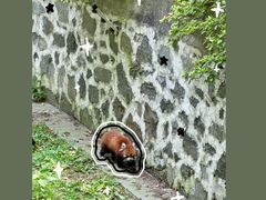 -扬州市茱萸湾风景区