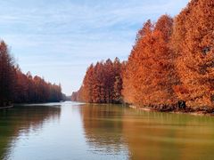-上海海湾国家森林公园