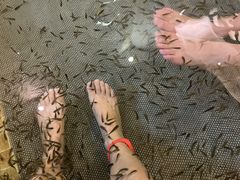 -中家鑫园温泉酒店鑫悦汤泉