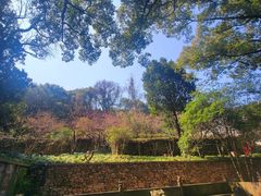 -宁波市保国寺古建筑博物馆