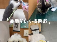 -联合动物医院(光谷诊疗中心)