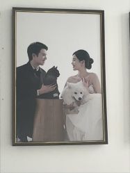 -金夫人婚纱摄影(总店)