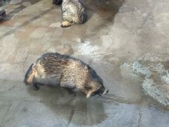 -爱琴海购物公园-地下停车场
