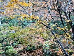 -三千院