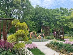 -上海共青森林公园