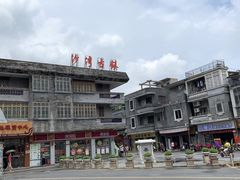 -针姨