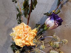 -ZING COFFEE 镜咖啡