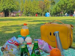 -东钱湖旅游度假区