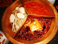 -锅说大脸毛肚重庆老火锅(佐阾店)