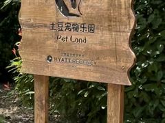 -上海崇明金茂凯悦酒店