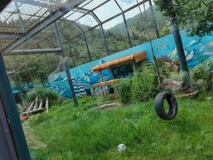 -青藏高原野生动物园